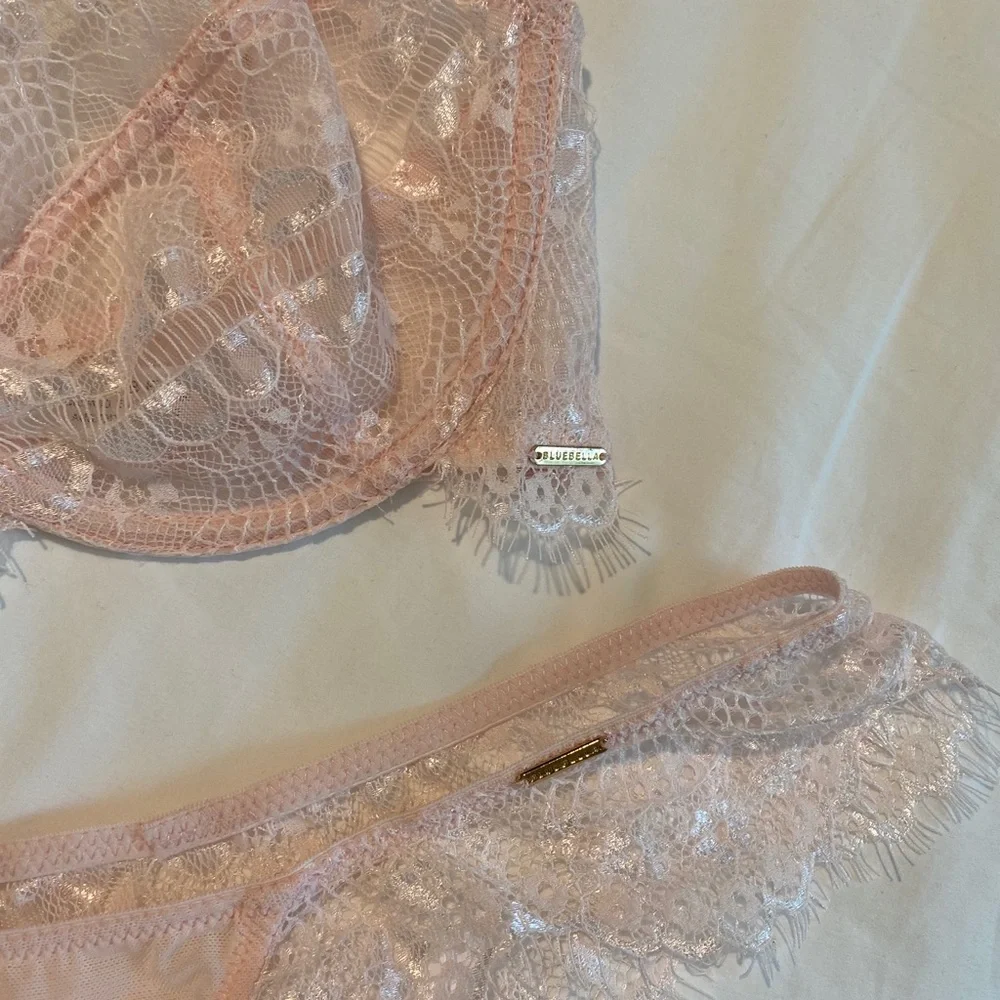 NWOT BlueBella Light Pink Lingerie Set